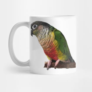 Green Cheek Conure Parrot Bird design, Love for birds Mug